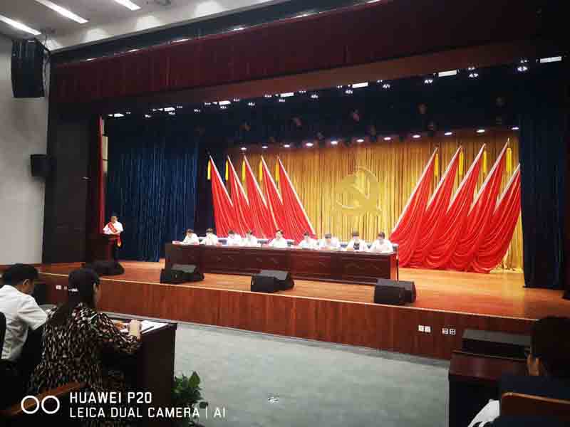 贺艾华美陈科科技董事长龚伟先生被评为“2019年度优秀党务工作者”
